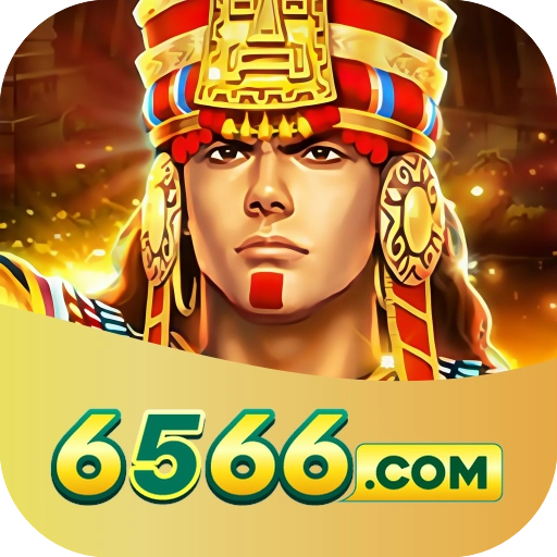 6566 app LOGO